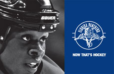image-panthers