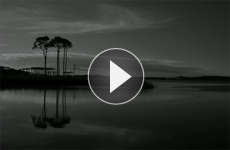 image-sabal-video-2