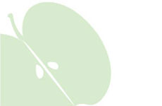 image-green-apple